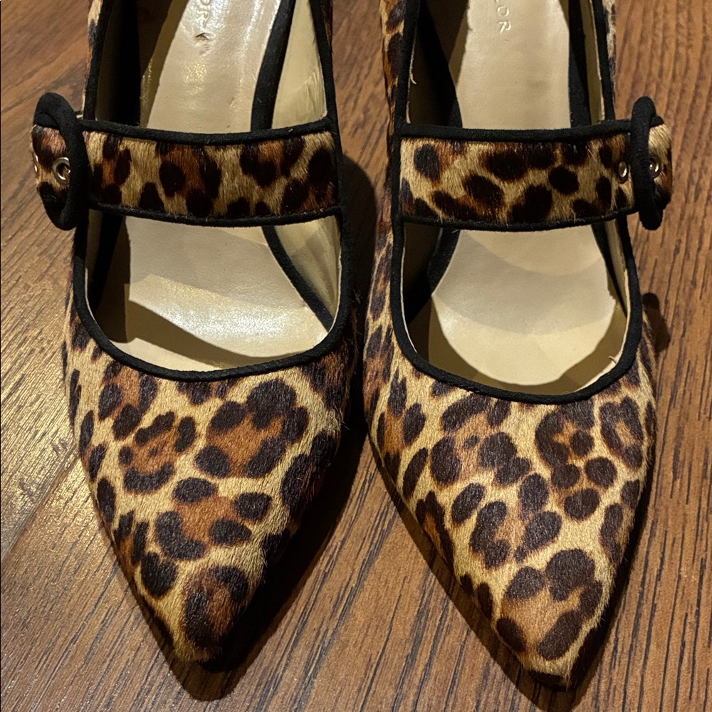 Ann Taylor Leopard Print Heels with Black Strap - Picture 2 of 6